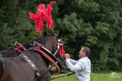 IMG_1891