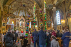 338893134_1420628568708852_8816954958793622611_n