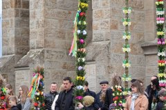 338902765_2559987484178659_2168205008032305950_n