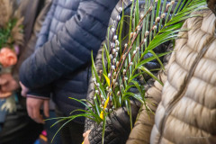 339080547_1445750012852556_3513525893640480378_n