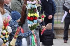 339081125_922831852100243_2400794723537338243_n