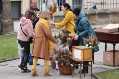 339112808_1170653570299309_3134308175931651286_n