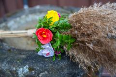 339125725_1422571871849090_5691258060733410152_n