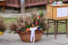 339185222_3389294711311711_3508035243939631055_n