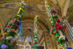 339285096_831662444849174_7839574870347837378_n